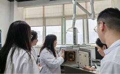业力量保障全市食物药品平安 