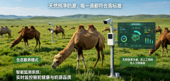 全财产链自从把场到工场